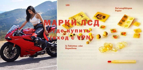 трава Абаза