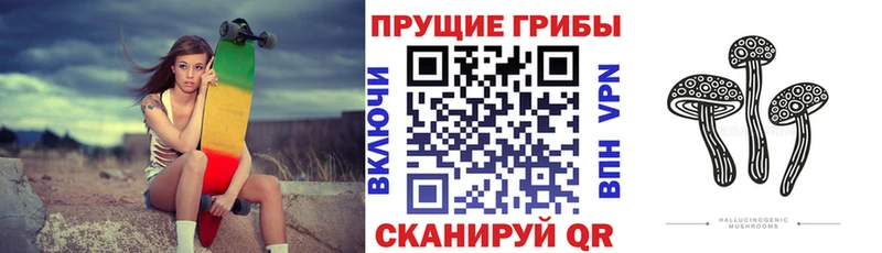 Псилоцибиновые грибы мицелий  как найти закладки  Кирсанов 
